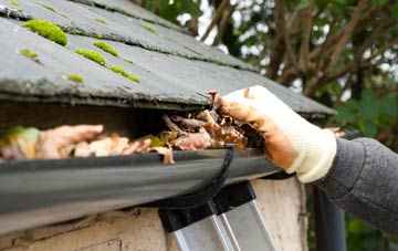 gutter cleaning The Wells, Surrey